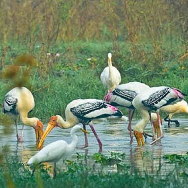 Overnight Agra Bharatpur Tour