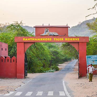 Ranthambore safari tour from delhi