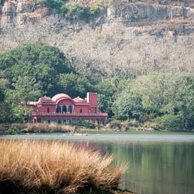 Ranthambore Village Rajasthan